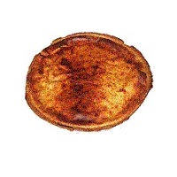 tarte au fromage blanc